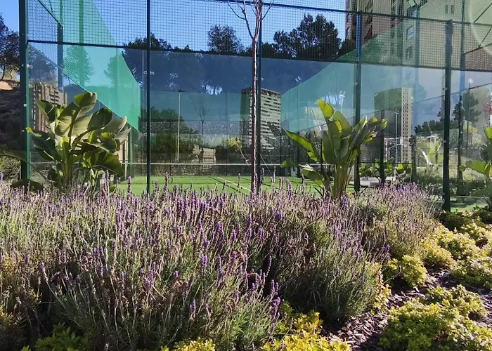 Panoramic By Eagle Tower *